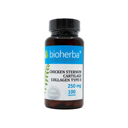 Kolagen tipa II 250 mg, 100 kapsul