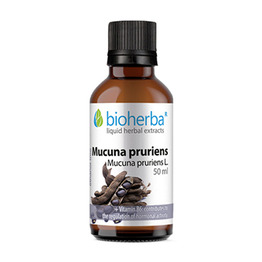Mucuna (žametni fižol) – tinktura, 50 ml