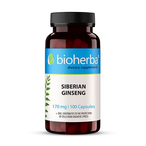 Sibirski ginseng v kapsulah
