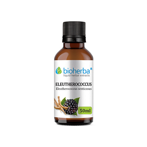 Tinktura Sibirski ginseng