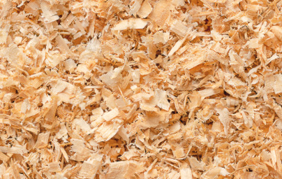 Celuloza (Cellulose)