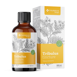 Navadna zobačica – tinktura, 100 ml