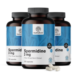 3x Spermidin 3 mg – iz izvlečka pšeničnih kalčkov, skupaj 360 kapsul