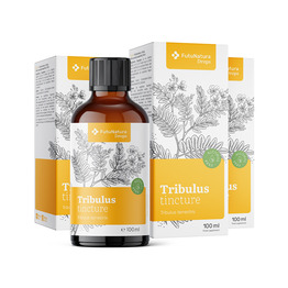 3x Navadna zobačica – tinktura, skupaj 300 ml