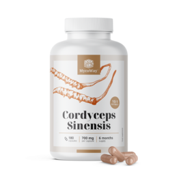 Cordyceps sinensis 1400 mg – izvleček 10:1, 180 kapsul