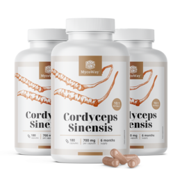 3x Cordyceps sinensis 1400 mg – izvleček 10:1, skupaj 540 kapsul