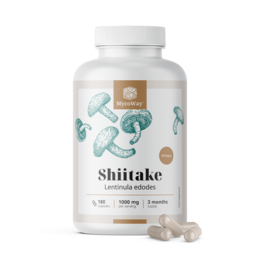 Shiitake 1000 mg – izvleček, 180 kapsul