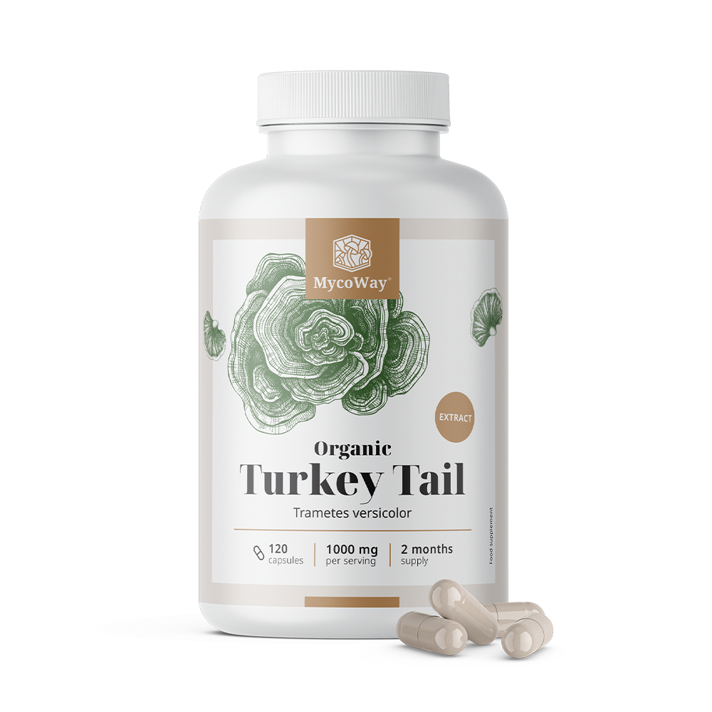 BIO Turkey Tail 1000 mg – izvleček
