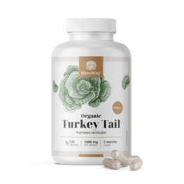 BIO Turkey Tail 1000 mg – izvleček, 120 kapsul
