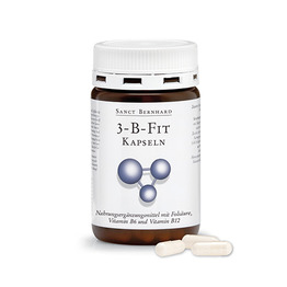 3-B-FIT: vitamin B6 + B12 + folna kislina, 120 kapsul